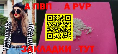 молекула духа Кингисепп