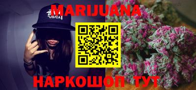 молекула духа Кингисепп