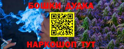 молекула духа Кингисепп