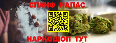 молекула духа Кингисепп