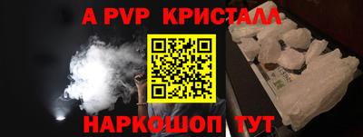 молекула духа Кингисепп