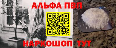 молекула духа Кингисепп
