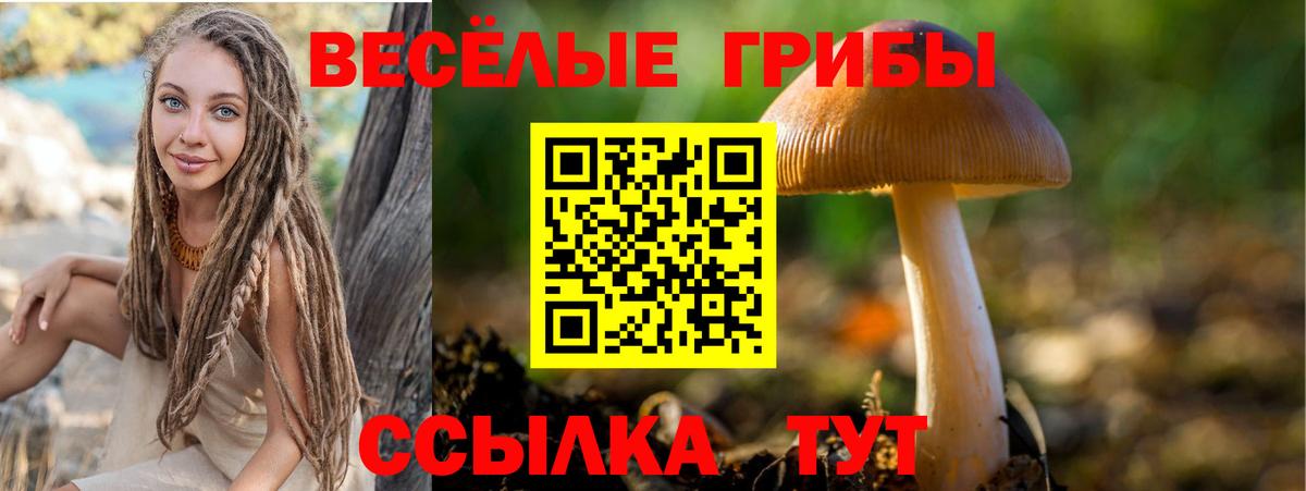 Галлюциногенные грибы Cubensis Чебаркуль